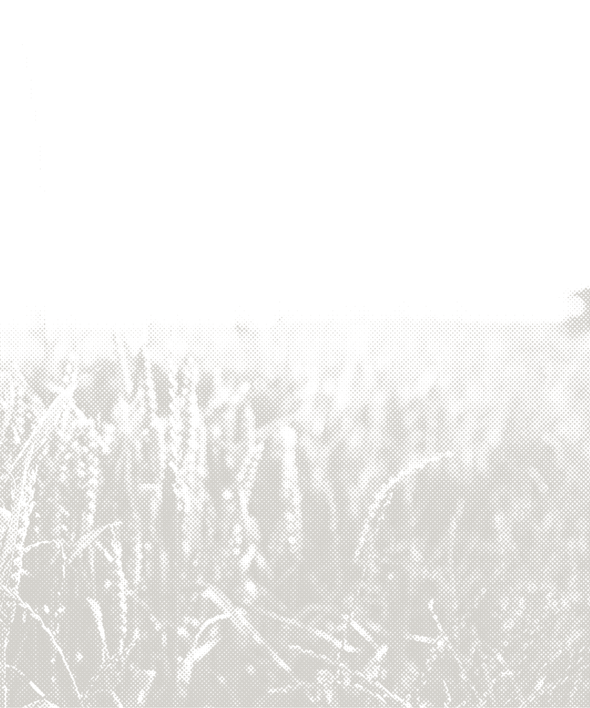 accent background